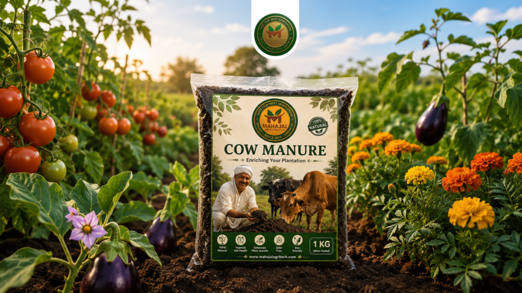 Manure, cow dung manure, cow organic manure, natural manure, plant growth